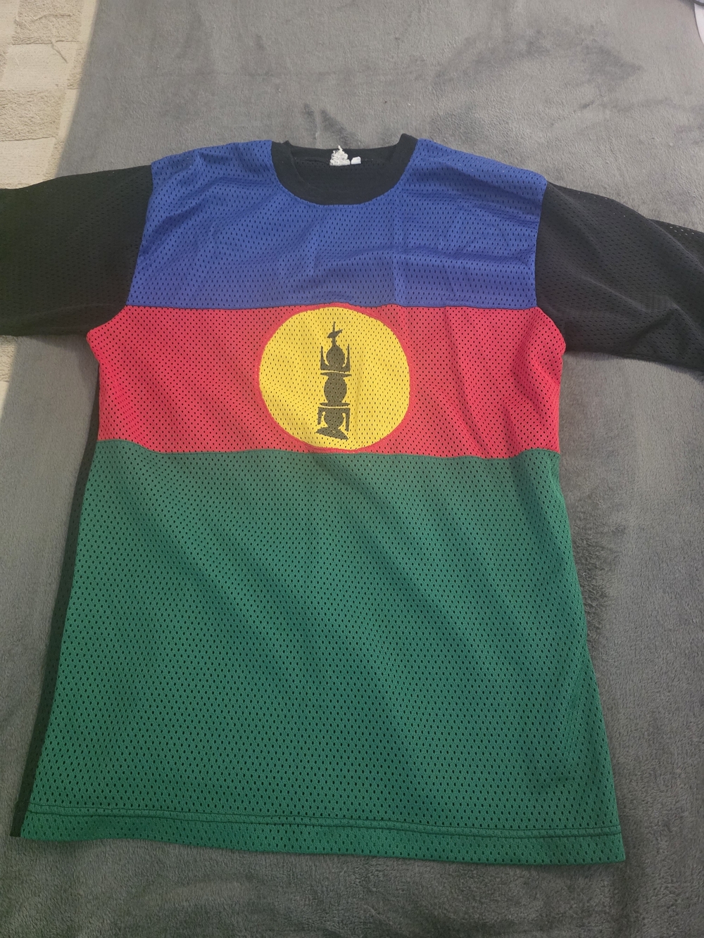 Colorblock Mesh Short Sleeve Tee with Emblem - Blue/Red/Green/Black
